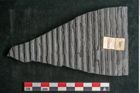 Foto (Detailansicht) von Sigillaria elongata Brongniart (NHMW-GEO-2024-0188-11059)